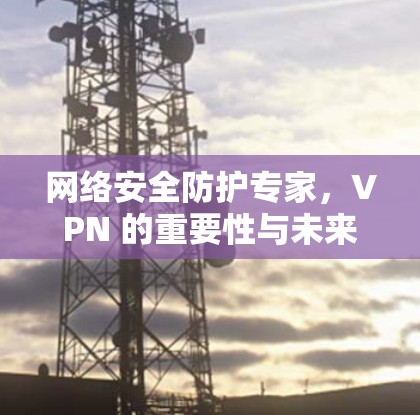 网络安全防护专家，VPN 的重要性与未来展望