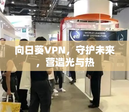 向日葵VPN，守护未来，营造光与热