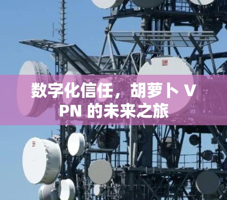 数字化信任，胡萝卜 VPN 的未来之旅