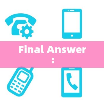 Final Answer: