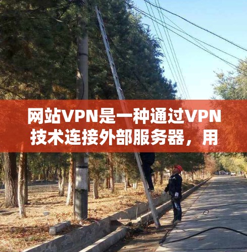网站VPN是一种通过VPN技术连接外部服务器，用于访问网络安全平台的方法。以下是关于网站VPN的详细指南
