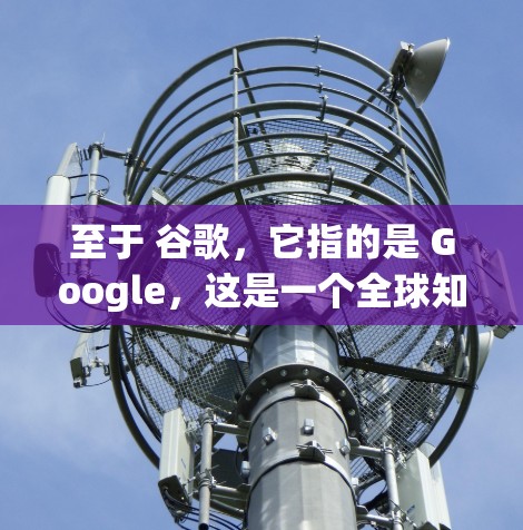 至于 谷歌，它指的是 Google，这是一个全球知名的搜索引擎和软件公司，提供多种产品和服务，包括搜索引擎、应用程序、游戏、在线教育等多个领域