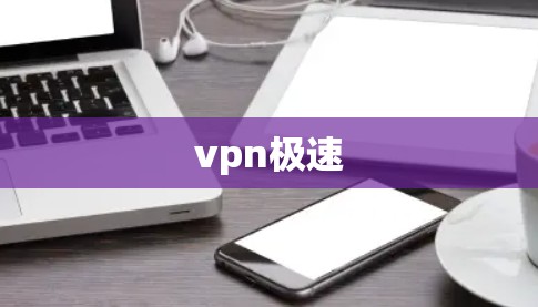 vpn极速