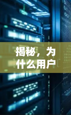揭秘，为什么用户选择百度VPN？