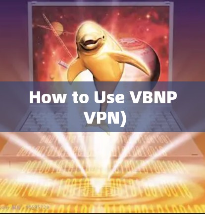 How to Use VBNP VPN)