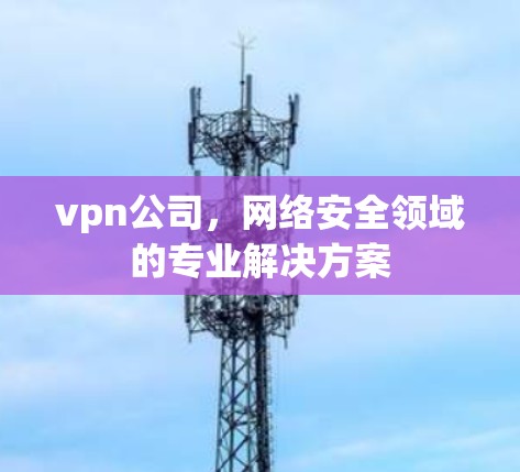vpn公司，网络安全领域的专业解决方案