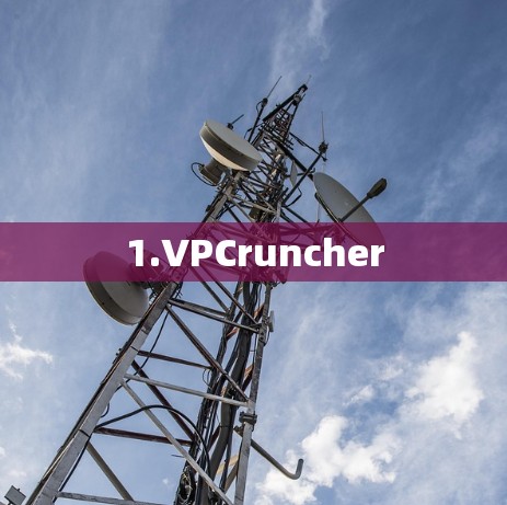 1.VPCruncher