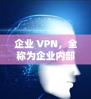 企业 VPN，全称为企业内部网络保护虚拟网络，是一种通过网络安全技术隔离企业内部不同网络环境的技术，旨在保护企业内部数据的安全。以下是企业 VPN 的详细分析