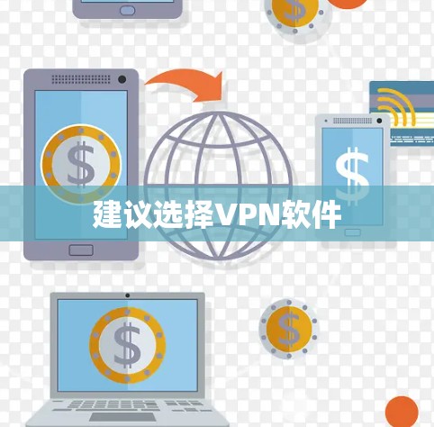 建议选择VPN软件