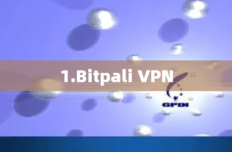 1.Bitpali VPN