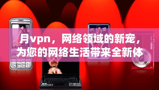 月vpn，网络领域的新宠，为您的网络生活带来全新体验