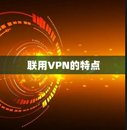联用VPN的特点