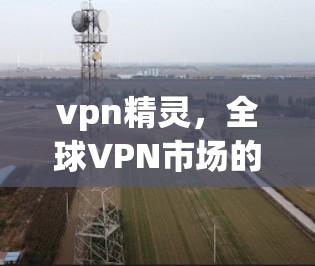vpn精灵，全球VPN市场的重要力量
