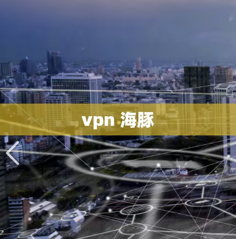 vpn 海豚