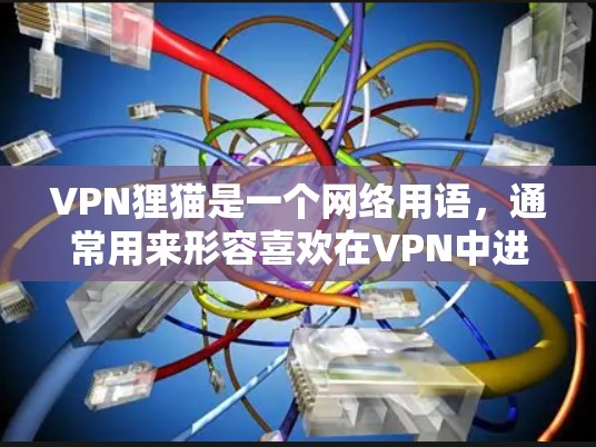 VPN狸猫是一个网络用语，通常用来形容喜欢在VPN中进行自由探索或违法活动的行为。这个词的含义可以理解为