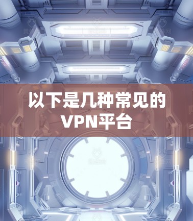 以下是几种常见的VPN平台