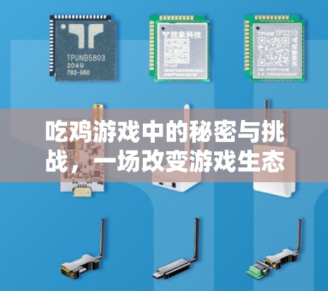 吃鸡游戏中的秘密与挑战，一场改变游戏生态的探索