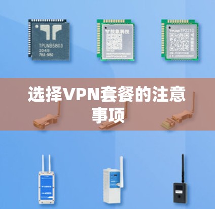 选择VPN套餐的注意事项