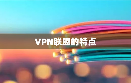 VPN联盟的特点