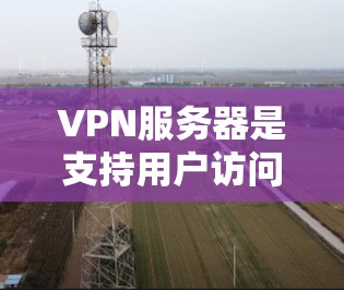 VPN服务器是支持用户访问其他网络服务器的端到端加密服务器，这些服务器通常提供免费的服务。以下是一些常见的VPN服务器类型及其特点