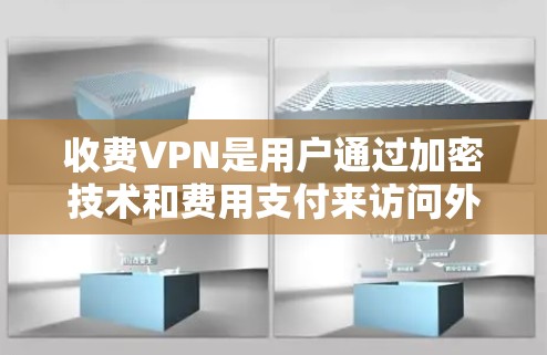 收费VPN是用户通过加密技术和费用支付来访问外部网络的工具。以下是对收费VPN的详细分析