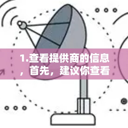 1.查看提供商的信息，首先，建议你查看 VPN 服务提供商的官方网站，了解他们的服务范围、使用方式以及安全性