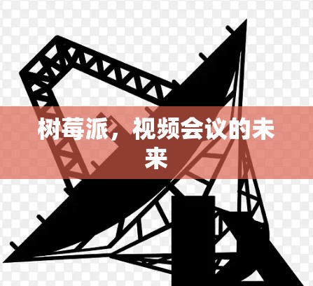 树莓派，视频会议的未来