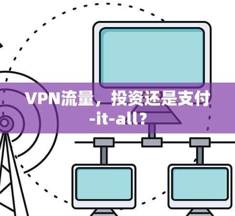 VPN流量，投资还是支付-it-all？