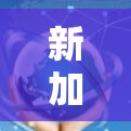 新加坡VPN，技术与现实的双重挑战