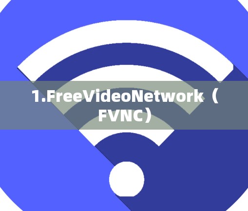 1.FreeVideoNetwork（FVNC）