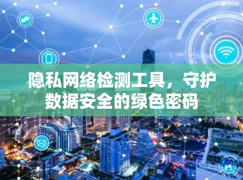 隐私网络检测工具，守护数据安全的绿色密码