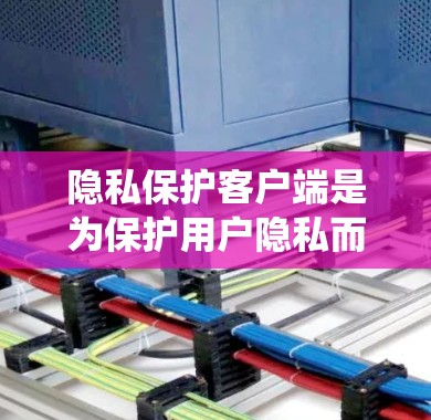 隐私保护客户端是为保护用户隐私而设计的工具，主要用于管理用户的数据。以下是对该主题的系统性总结