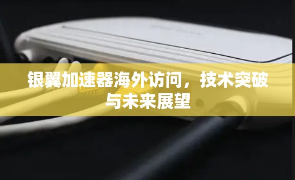 银翼加速器海外访问，技术突破与未来展望