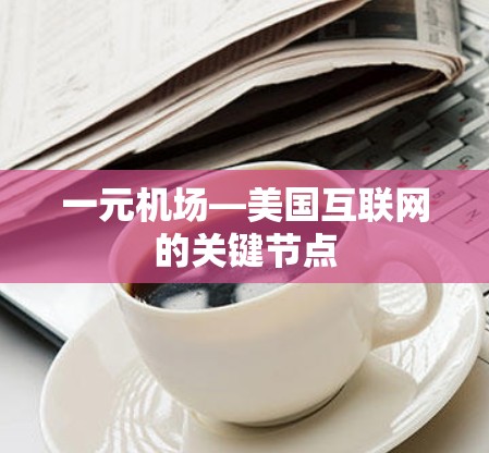 一元机场—美国互联网的关键节点