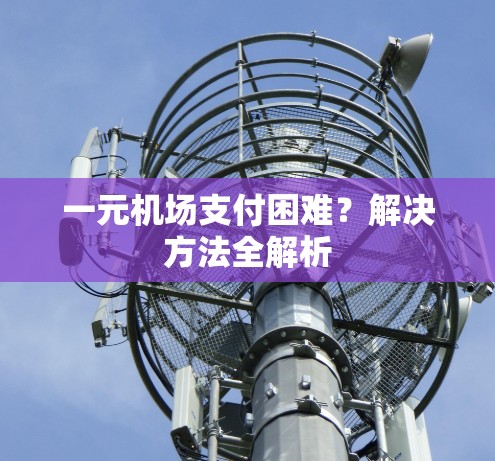 一元机场支付困难？解决方法全解析