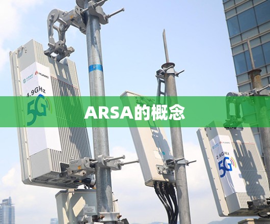 ARSA的概念
