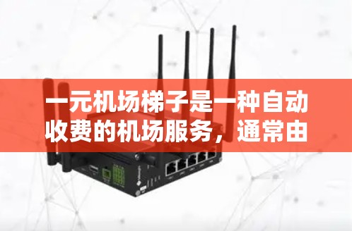 一元机场梯子是一种自动收费的机场服务，通常由机场提供，用户需要手动输入订单信息以便获得服务。以下是一元机场梯子付款的详细步骤和注意事项