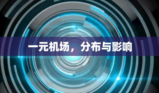 一元机场，分布与影响