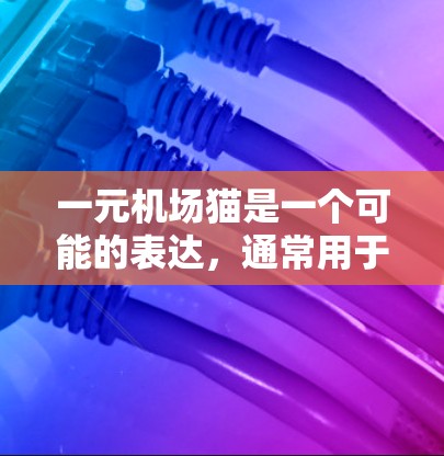 一元机场猫是一个可能的表达，通常用于描述某种活动或项目，具有以下含义