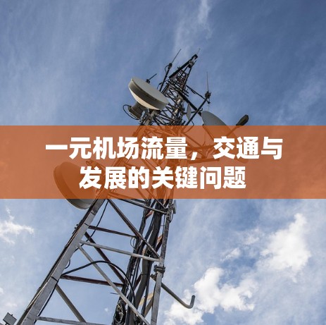 一元机场流量，交通与发展的关键问题