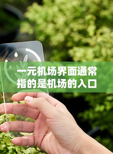 一元机场界面通常指的是机场的入口或单一入口的设计。这类设计通常简洁、直观，注重用户体验，能够快速传达机场的主要信息，如 location,entrance,and services.