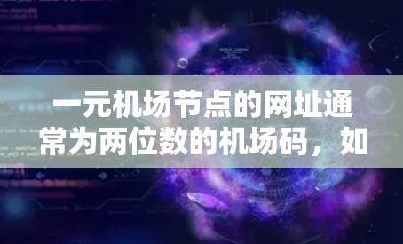 一元机场节点的网址通常为两位数的机场码，如1、12等，这些机场通常只有一个起飞 slot。例如