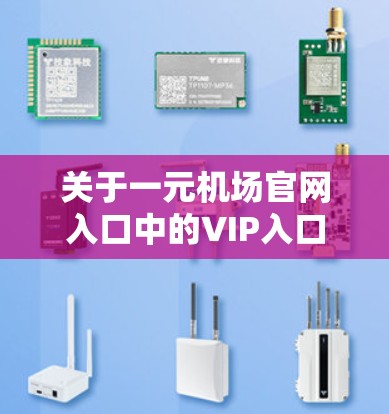 关于一元机场官网入口中的VIP入口，具体信息可能因机场官网和平台而异。通常，VIP入口可能提供以下功能