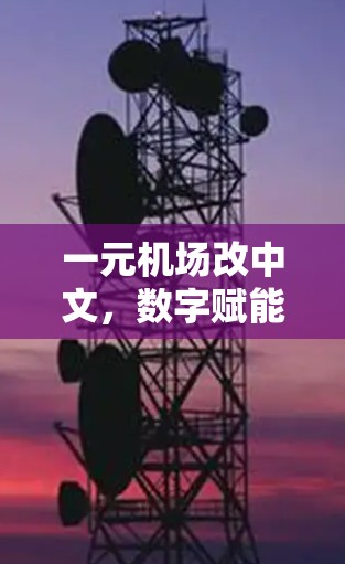 一元机场改中文，数字赋能国际交流新路径