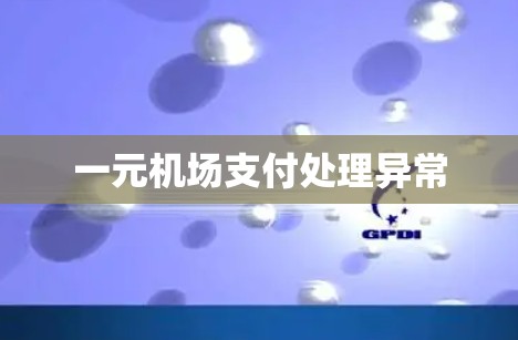 一元机场支付处理异常