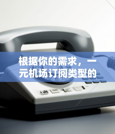 根据你的需求，一元机场订阅类型的选择应取决于你的使用场景和预算。以下是详细的建议