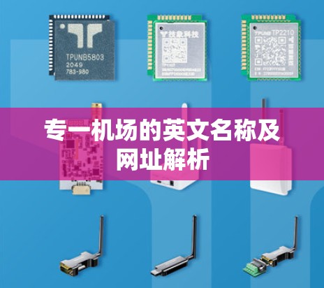 专一机场的英文名称及网址解析