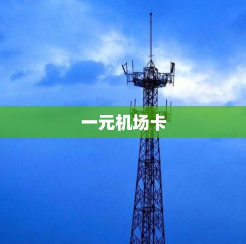一元机场卡