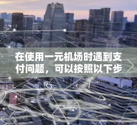 在使用一元机场时遇到支付问题，可以按照以下步骤进行排查和解决