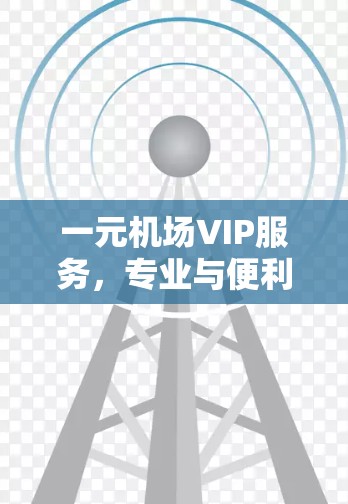一元机场VIP服务，专业与便利的传播